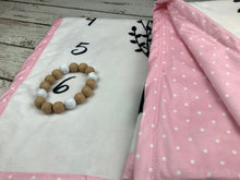 Load image into Gallery viewer, Baby Milestone Blanket / Baby Girl Milestone Blanket / Baby Photo Blanket / Monthly Baby Blanket / Baby Shower Gift