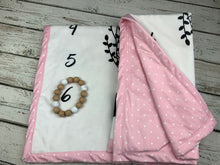 Load image into Gallery viewer, Baby Milestone Blanket / Baby Girl Milestone Blanket / Baby Photo Blanket / Monthly Baby Blanket / Baby Shower Gift