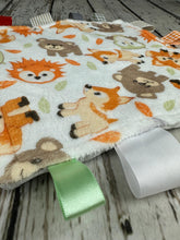 Load image into Gallery viewer, Baby Boy Minky Tag Blanket Woodland Animals / Lovey / Baby Shower Gift / Baby Toy / Snuggle Blanket / Baby Christmas Gift